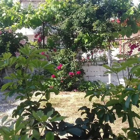 355 * كساميل
